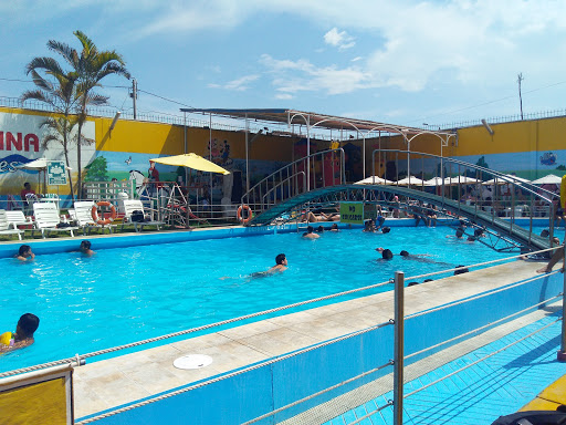 Magipiscina Toboganes