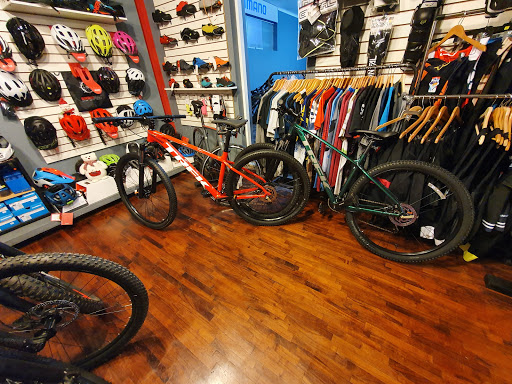 Gato Bike