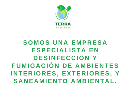 Terra Ambiental