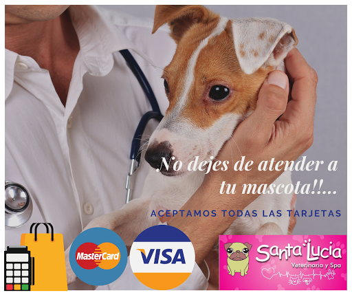 Veterinaria Y Spa Santa Lucia