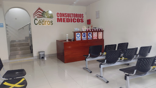 MediCentro Especializado Los Cedros