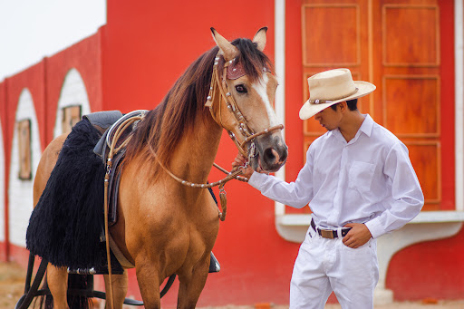 Trujillo Fotografías