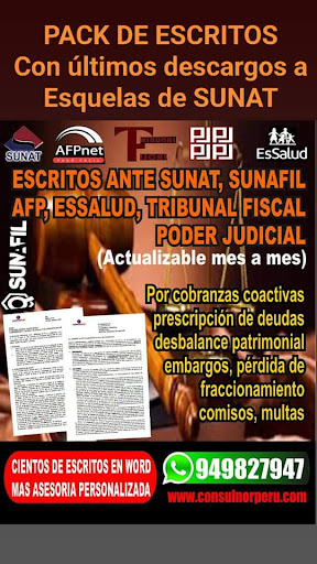 Consultoría y Sistemas del Norte S.A.C.