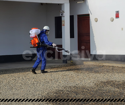 Fumigaciones en Trujillo - Exclusiva S.A.C- Control de plagas, Certificado de fumigación.