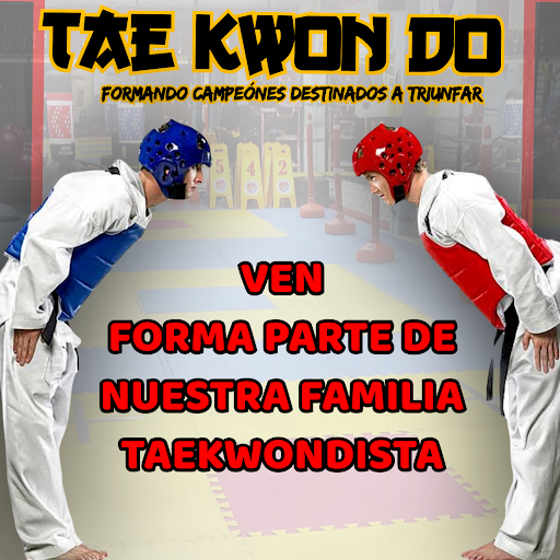 Academia Taekwondo The First Master